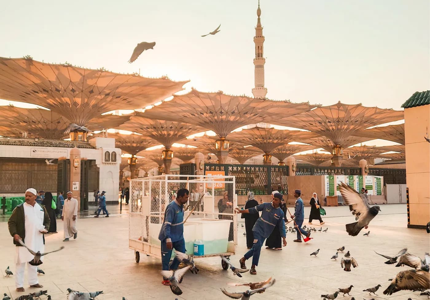 Courtyard umbrellas outside Masjid an-Nabawi